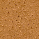 Maxwell - TWITTER-NJ - AUTUMN - Fabric by the Yard