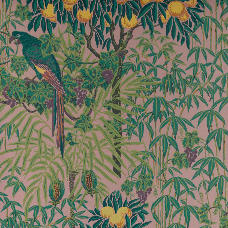 Maxwell - MACAW (WP) - BLUSH - Wallcovering by the 11 Yard Roll