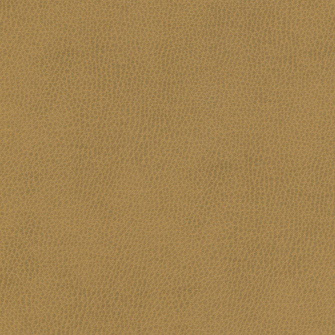 Maxwell Fabrics - TOP GRAIN-NJ - Fabric by the Yard - Samples Available Upon Request - MFS-01087