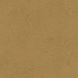 Maxwell - TOP GRAIN-NJ - COIN - Fabric by the Yard