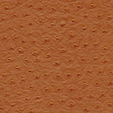Maxwell - TWITTER-NJ - GARAM MASALA - Fabric by the Yard