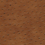 Maxwell - TWITTER-NJ - GINGER - Fabric by the Yard