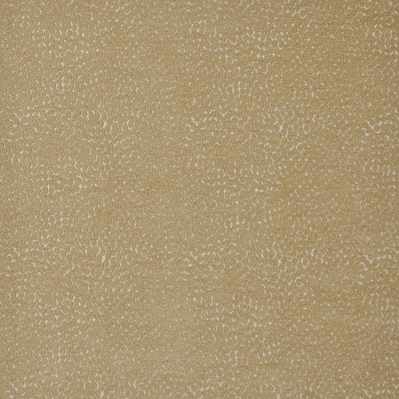 Maxwell Fabrics - BITSY - Fabric by the Yard - Samples Available Upon Request - MFS-00116