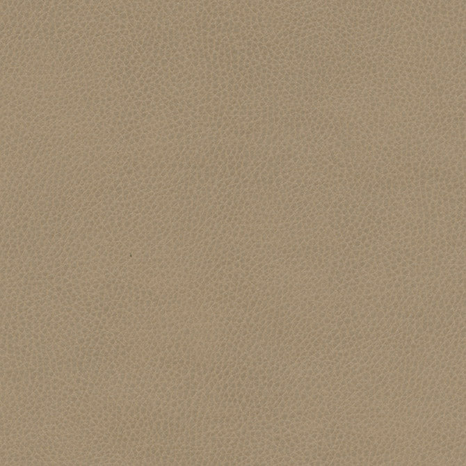 Maxwell Fabrics - TOP GRAIN-NJ - Fabric by the Yard - Samples Available Upon Request - MFS-01087