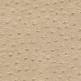 Maxwell - TWITTER-NJ - HUSK - Fabric by the Yard