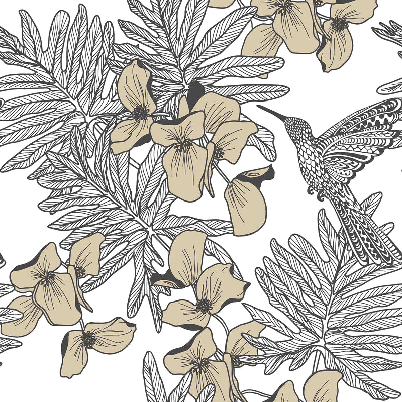 Maxwell - HUMMINGBIRD (WP) - JET - Wallcovering by the 11 Yard Roll
