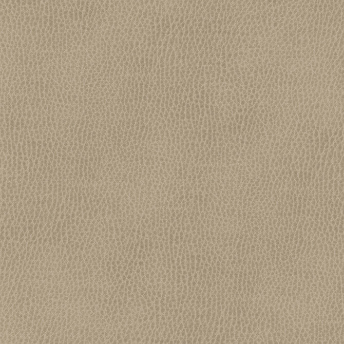 Maxwell Fabrics - TOP GRAIN-NJ - Fabric by the Yard - Samples Available Upon Request - MFS-01087
