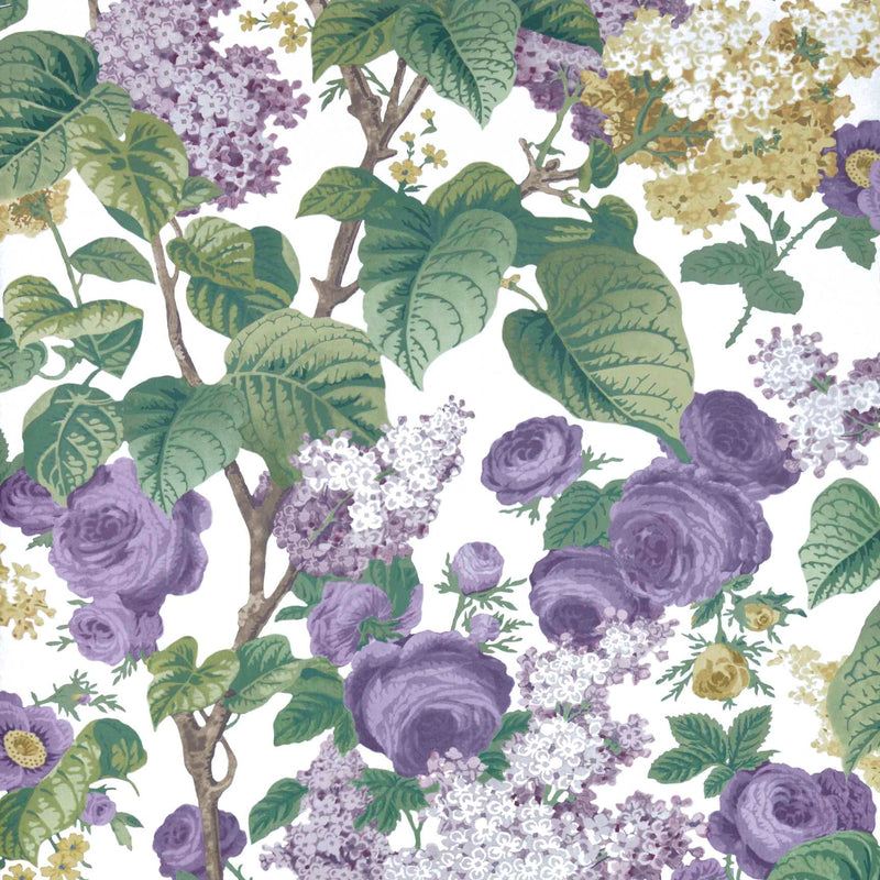 Maxwell Wallpaper - FLORIBUNDA (WP) - Wallpaper by the 11 yard roll - Samples Available Upon Request - MFS-00394