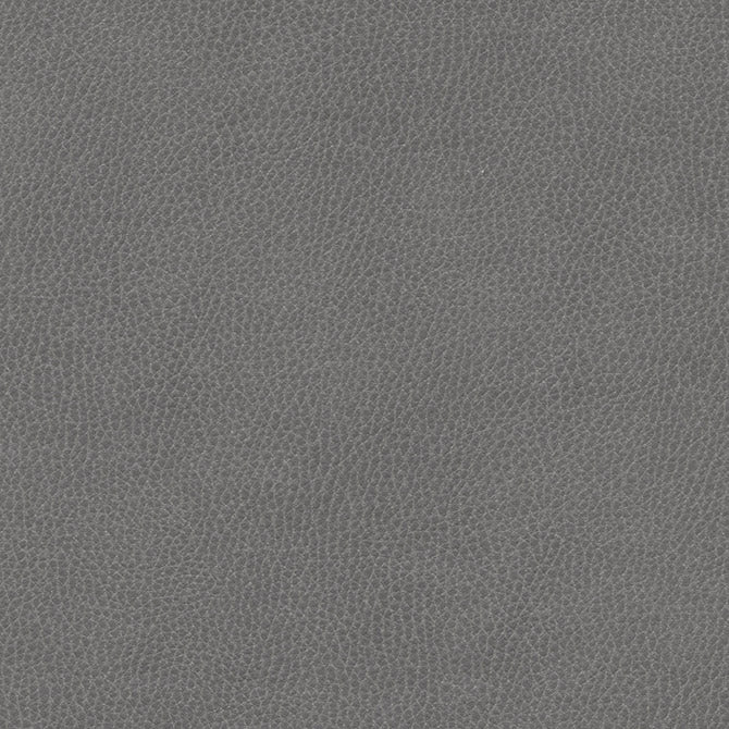 Maxwell Fabrics - TOP GRAIN-NJ - Fabric by the Yard - Samples Available Upon Request - MFS-01087