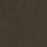 Maxwell - WARDEN-NJ - PATHWAY - Fabric by the Yard