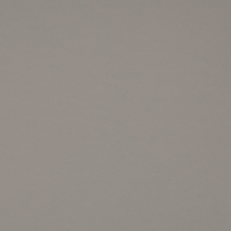 Maxwell Fabrics - TRAILRIDER - Fabric by the Yard - Samples Available Upon Request - MFS-01096