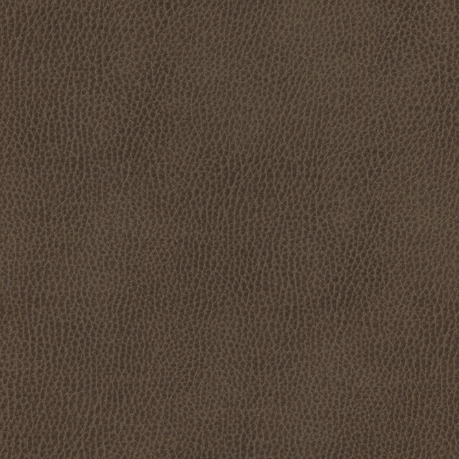 Maxwell Fabrics - TOP GRAIN-NJ - Fabric by the Yard - Samples Available Upon Request - MFS-01087