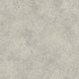 Maxwell - FENTON (WP) - SILVER - Wallcovering by the 11 Yard Roll
