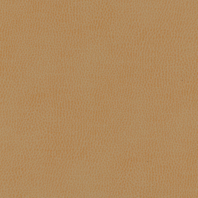 Maxwell Fabrics - TOP GRAIN-NJ - Fabric by the Yard - Samples Available Upon Request - MFS-01087