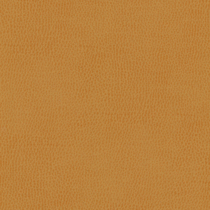 Maxwell Fabrics - TOP GRAIN-NJ - Fabric by the Yard - Samples Available Upon Request - MFS-01087