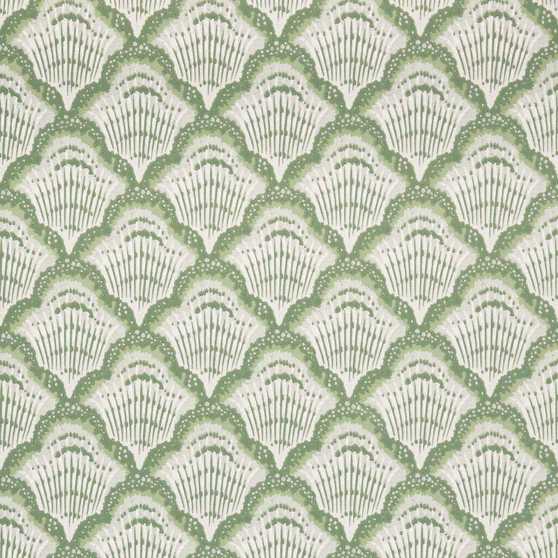 Maxwell Wallpaper - CALICO SHELL (WP) - Wallpaper by the 11 yard roll - Samples Available Upon Request - MFS-00173