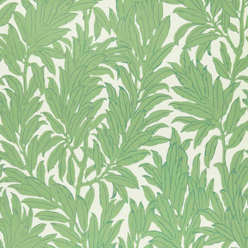 Maxwell Wallpaper - LAUREL LEAF (WP) - Wallpaper by the 11 yard roll - Samples Available Upon Request - MFS-00617
